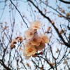 IMG_20210323_060846