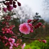 IMG_20210328_065039