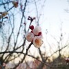IMG_20210323_060533