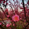 IMG_20210325_060422