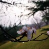 IMG_20210328_061444
