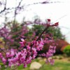 IMG_20210422_055424
