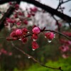 IMG_20210328_064923