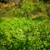 IMG_20211017_115317
