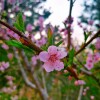 IMG_PITU_20210407_061341