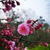IMG_20210328_064726