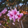IMG_20210407_062706