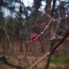 IMG_20210312_062616