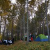 IMG_20211106_154351