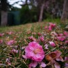IMG_20210402_062031