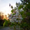 IMG_20210415_060303
