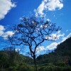 IMG_20211017_104706
