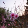 IMG_20210410_055737