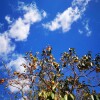 IMG_20211017_101317