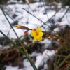 IMG_20210302_063158