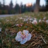 IMG_20210325_061028