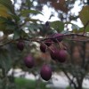 IMG_20210519_052335