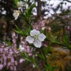 IMG_20210410_055235