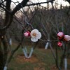 IMG_20210324_061844