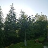IMG_20210509_060658