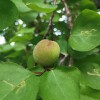 IMG_20210519_052300
