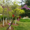 IMG_20210422_055535