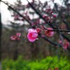 IMG_20210328_064821