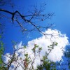 IMG_20211017_104202