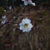 IMG_20210410_055021