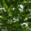 IMG_20210506_054655