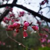 IMG_20210328_064935