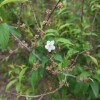IMG_20210509_054531