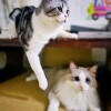 IMG_PITU_20211020_131859