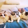 IMG_PITU_20211024_093631