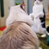 IMG_PITU_20211020_194005