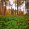 IMG_20211107_105639