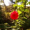 IMG_20211017_105810