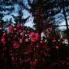 IMG_20210330_054959