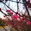 IMG_20210323_060228