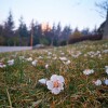 IMG_20210325_061204