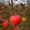 IMG_20211031_152214