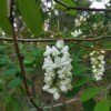 IMG_20210519_052456