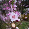 IMG_20210410_055147