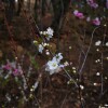 IMG_20210410_064153