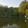IMG_20210509_060955