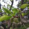 IMG_20210422_054121