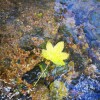 IMG_20211017_103907