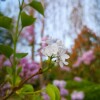 IMG_20210415_060328