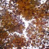 IMG_20211107_104851