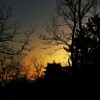 IMG_20210302_064122